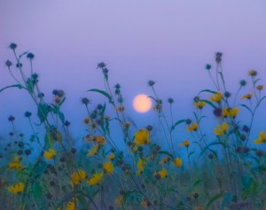moon over prairie